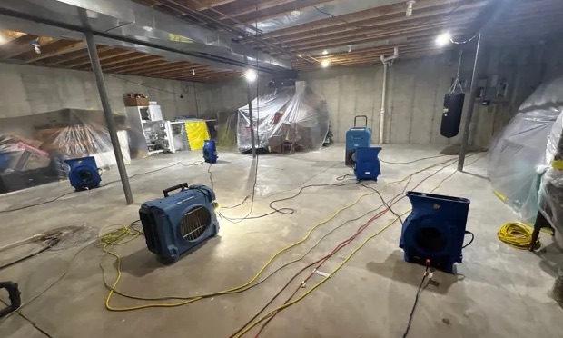 Basement Mold Cleanup in Katy, TX