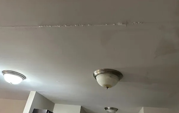 Ceiling Mold Removal in Katy, TX