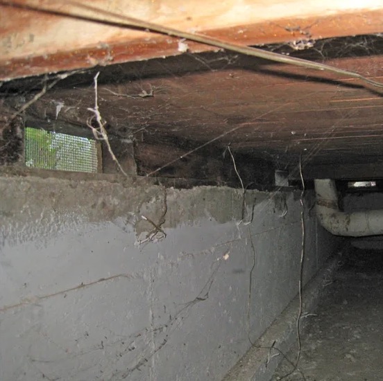 Crawl Space Mold Removal in Katy, TX