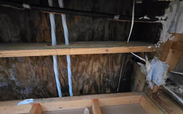 Attic Mold Remediation in Katy, TX