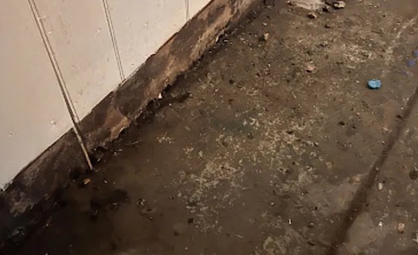 Wastewater Cleanup in Katy, TX