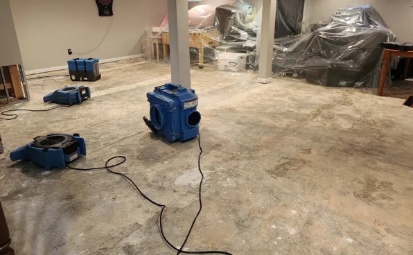 Deodorization Services in Katy, TX